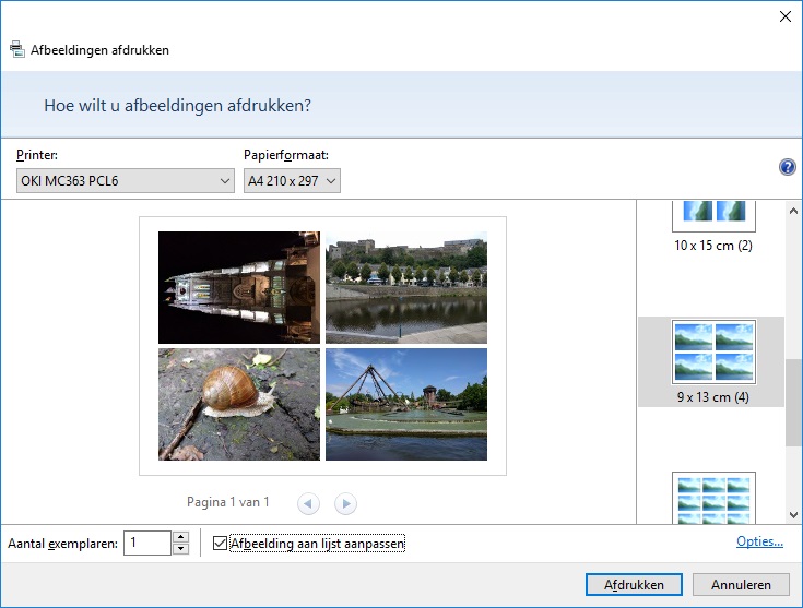 dozijn opslag Vervolgen Een foto afdrukken via Windows Verkenner, hoe doe je dit?